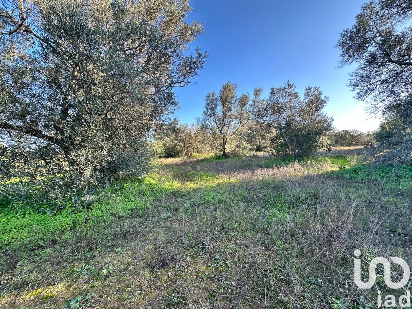 Land plot in Villablanca, Huelva, Spain 44740 sq.m. No. 186022