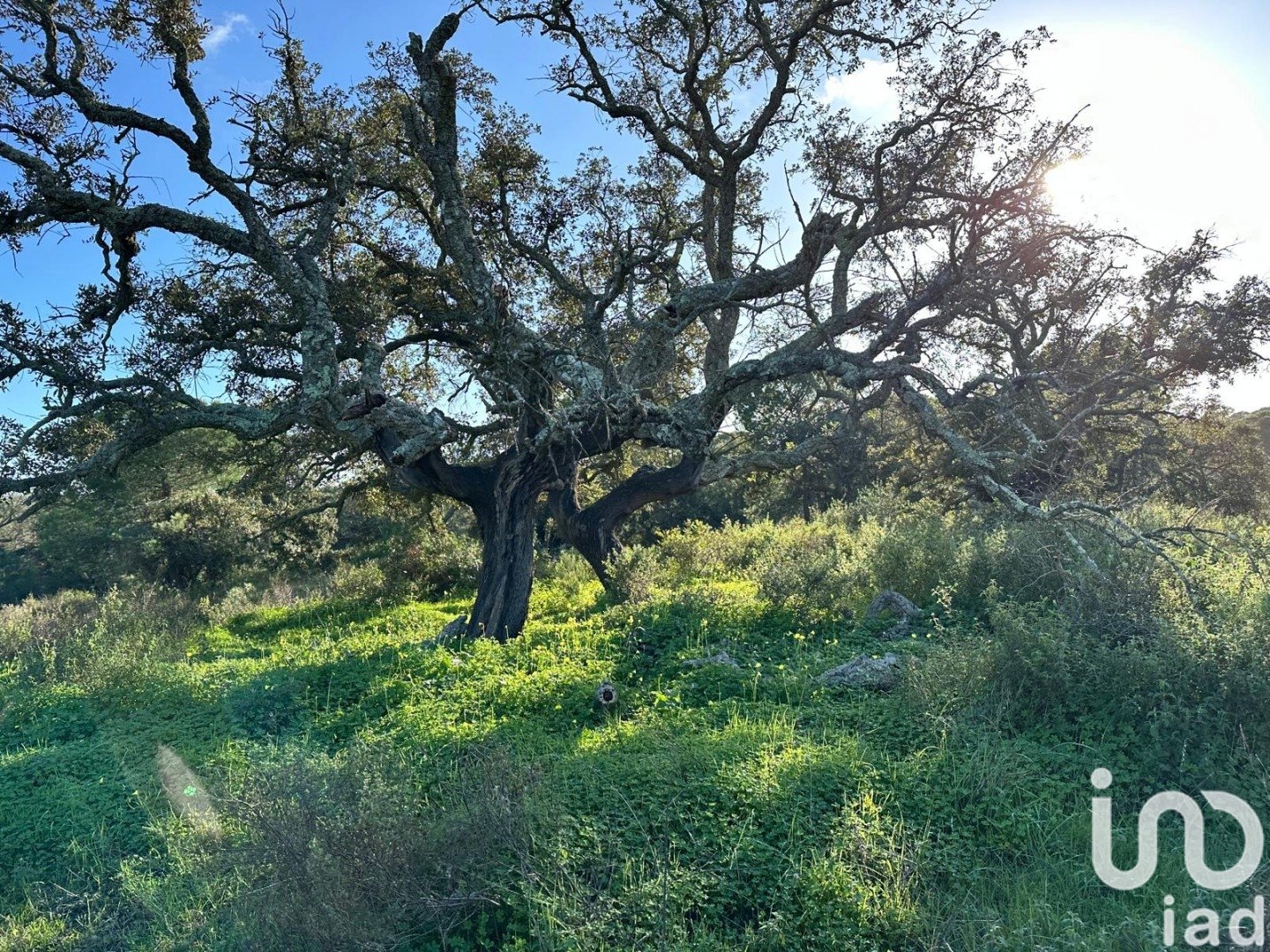 Land plot in Villablanca, Huelva, Spain 44740 sq.m. No. 186022