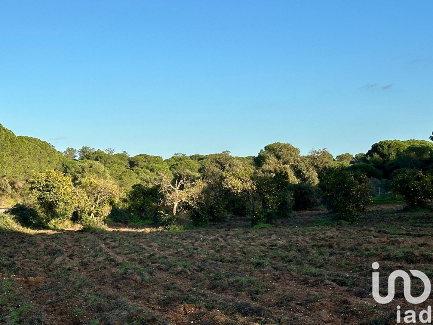Land plot in Villablanca, Huelva, Spain 44740 sq.m. No. 186022