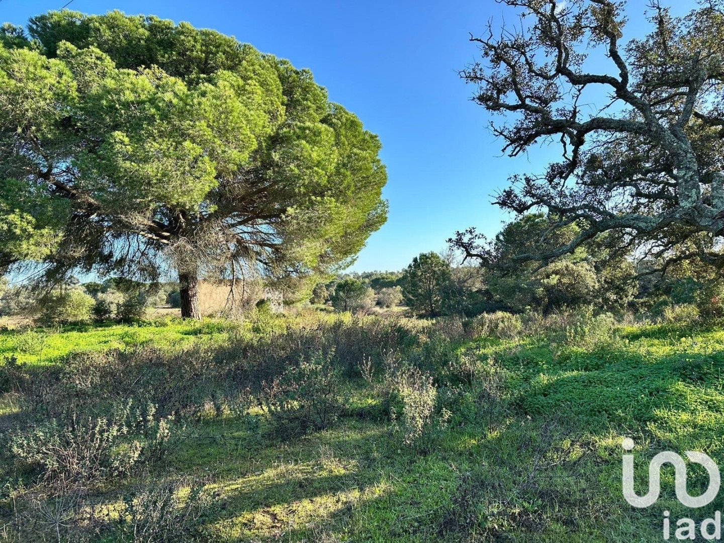 Land plot in Villablanca, Huelva, Spain 44740 sq.m. No. 186022