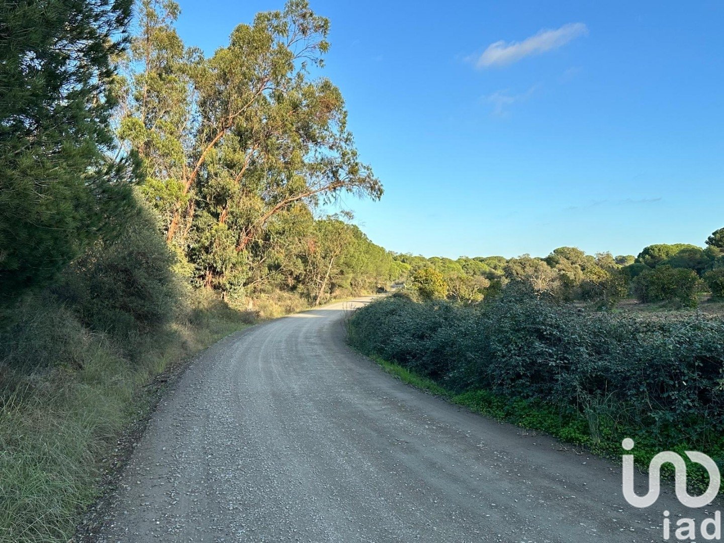 Land plot in Villablanca, Huelva, Spain 44740 sq.m. No. 186022
