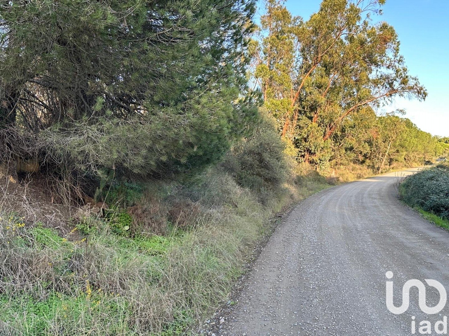 Land plot in Villablanca, Huelva, Spain 44740 sq.m. No. 186022