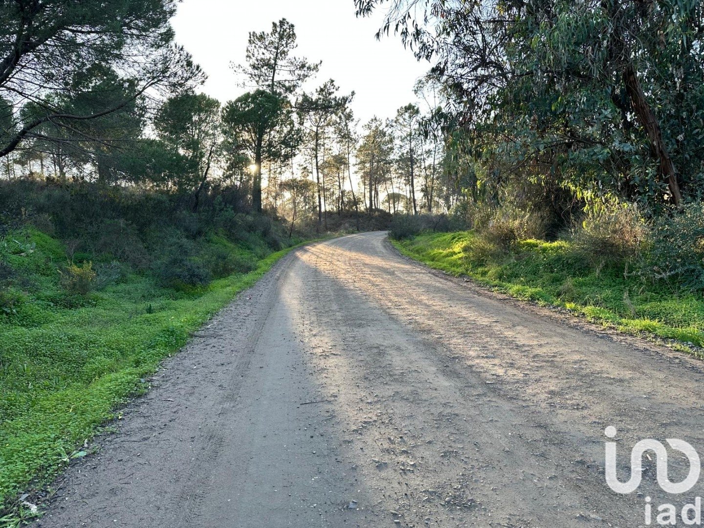 Land plot in Villablanca, Huelva, Spain 44740 sq.m. No. 186022