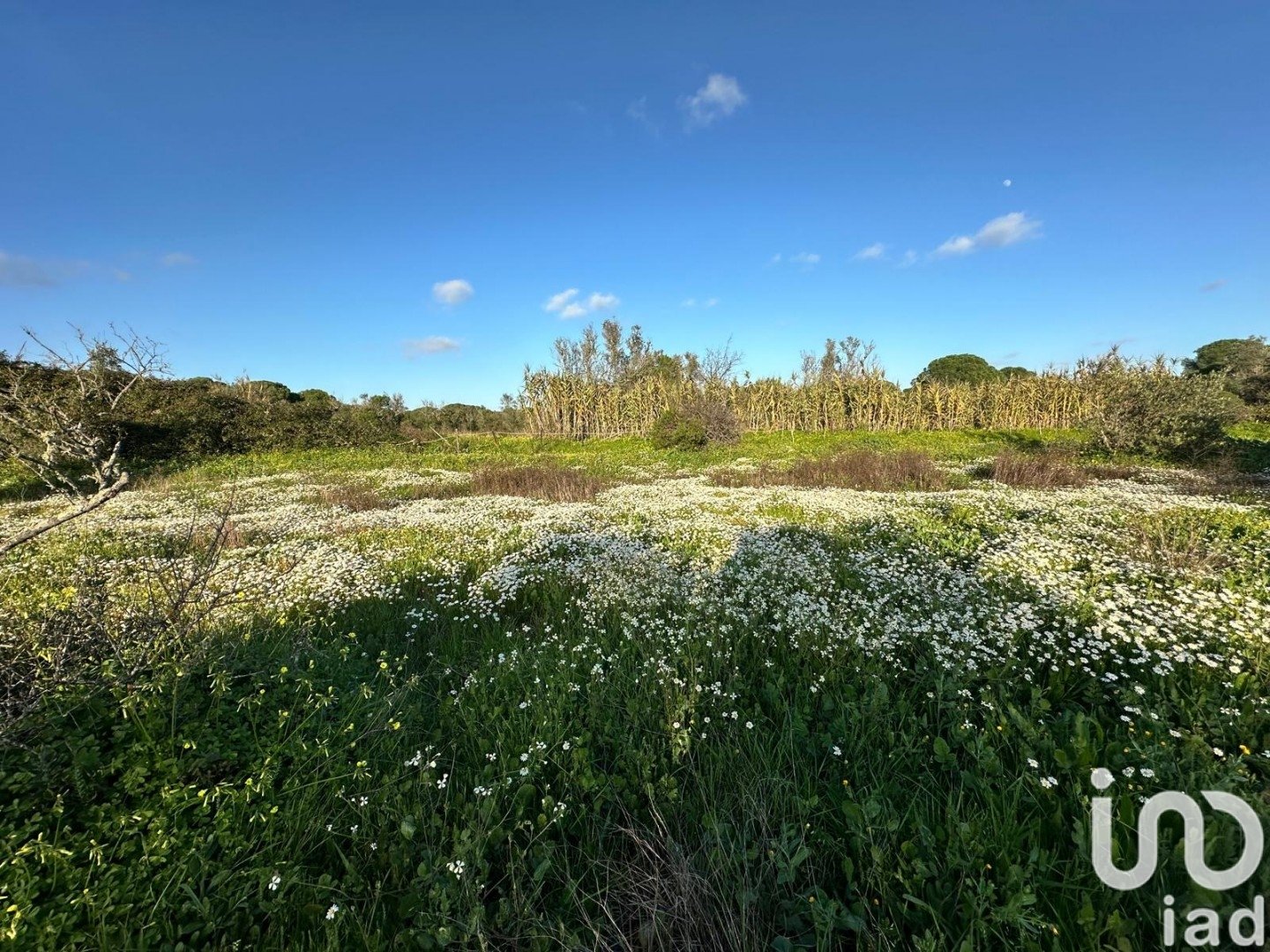 Land plot in Villablanca, Huelva, Spain 44740 sq.m. No. 186022
