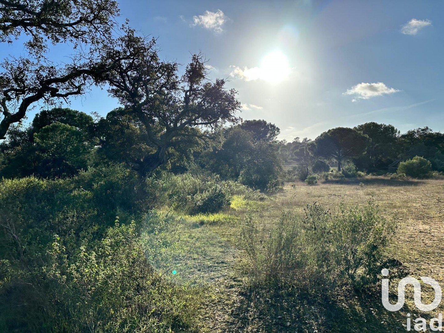 Land plot in Villablanca, Huelva, Spain 44740 sq.m. No. 186022