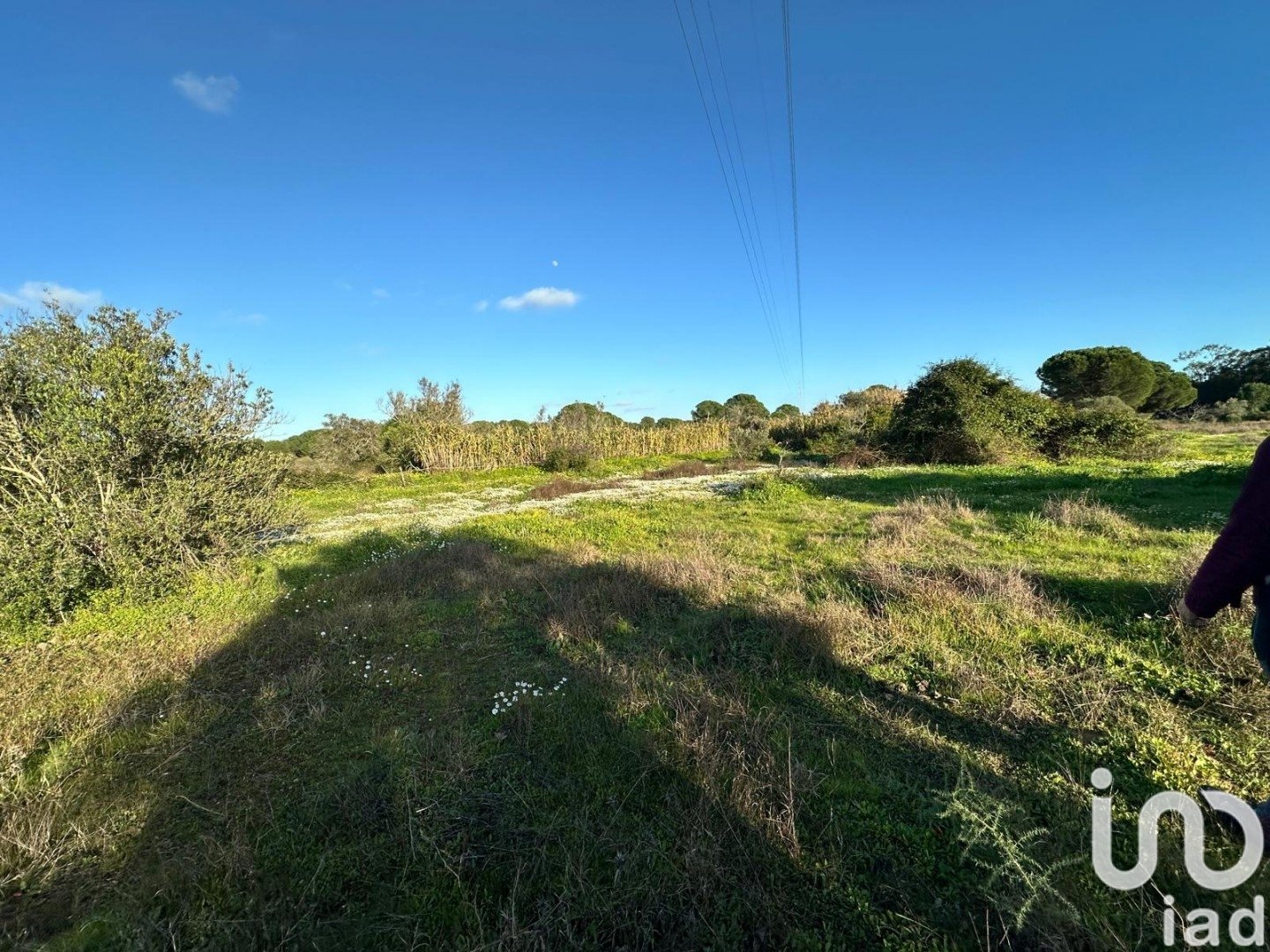 Land plot in Villablanca, Huelva, Spain 44740 sq.m. No. 186022