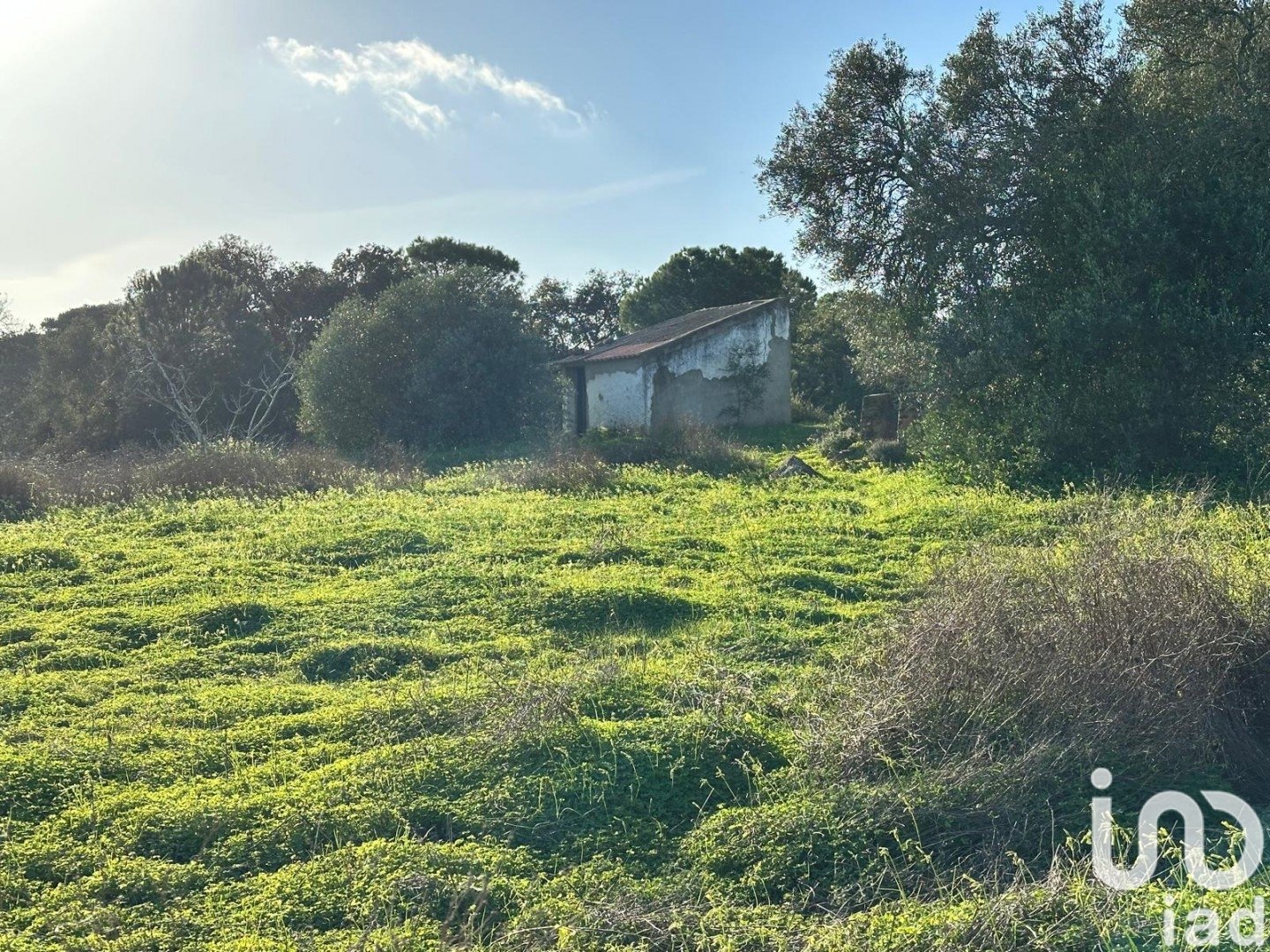 Land plot in Villablanca, Huelva, Spain 44740 sq.m. No. 186022