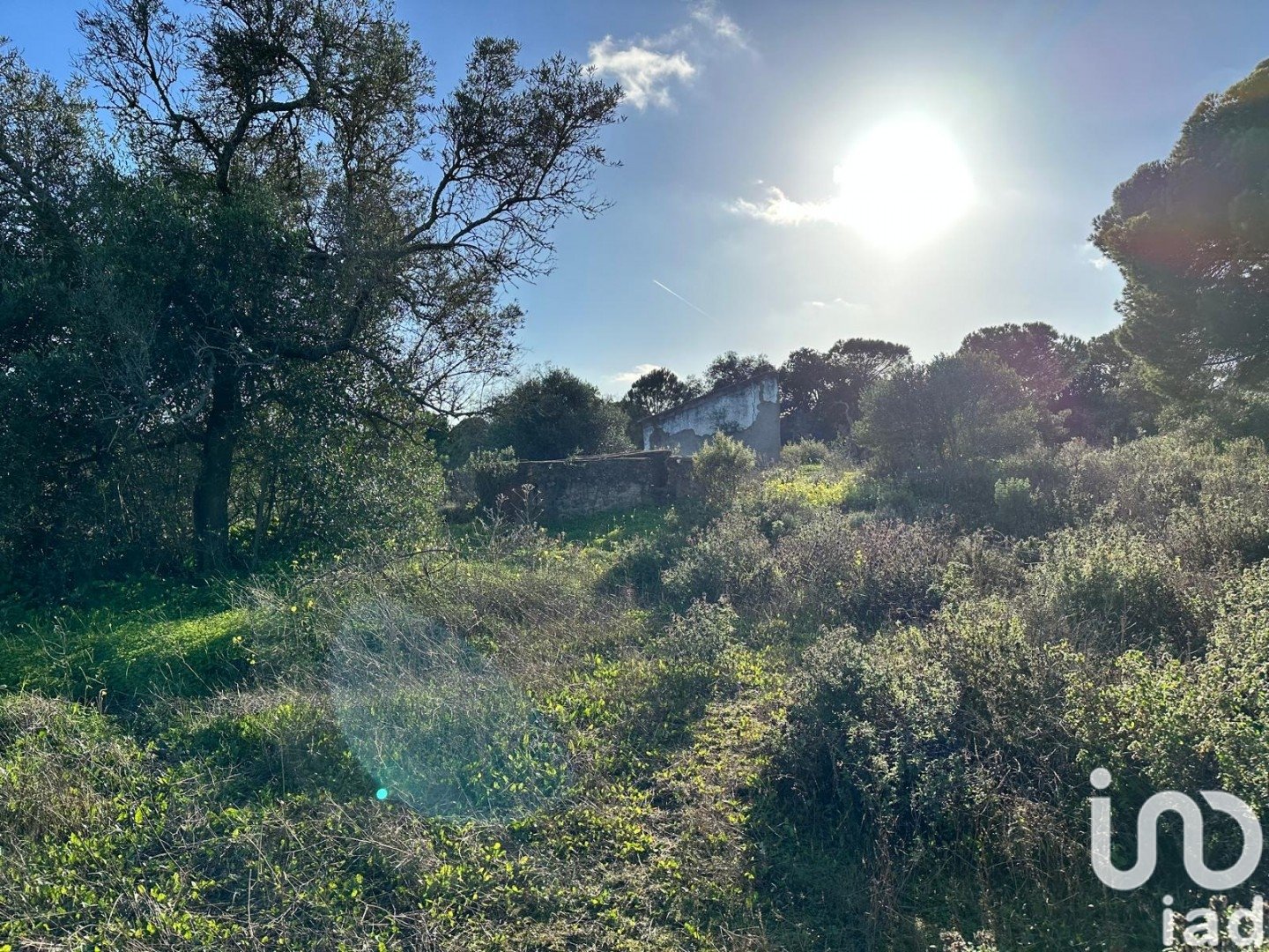 Land plot in Villablanca, Huelva, Spain 44740 sq.m. No. 186022