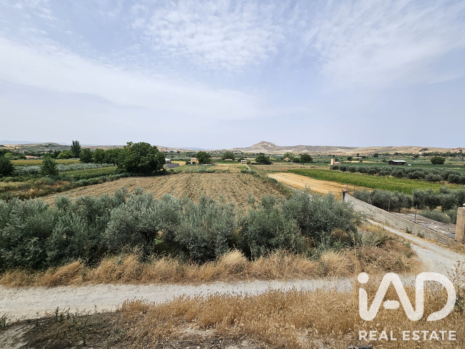 Land plot in Alhendin, Granada, Spain 1453 sq.m. No. 187705