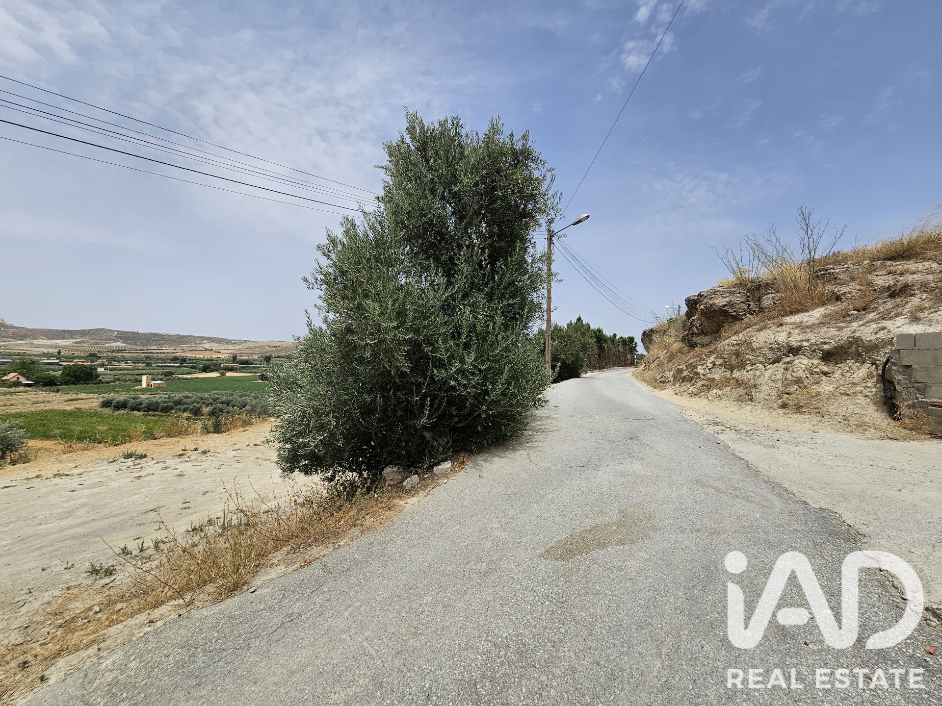 Land plot in Alhendin, Granada, Spain 1453 sq.m. No. 187705