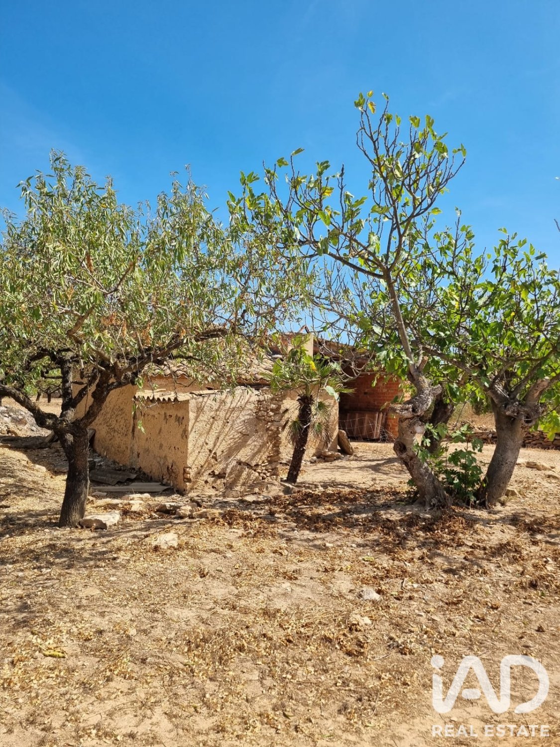 Zemes gabals Tivissa, Tarragona, Spānijā 38972 m2 Nr. 194337