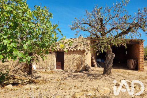 Parcela en Tivissa, Tarragona, España 38972 m2 No. 194337