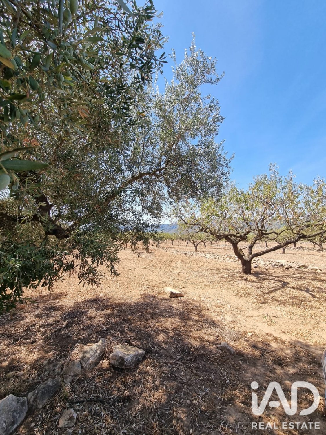 Zemes gabals Tivissa, Tarragona, Spānijā 38972 m2 Nr. 194337