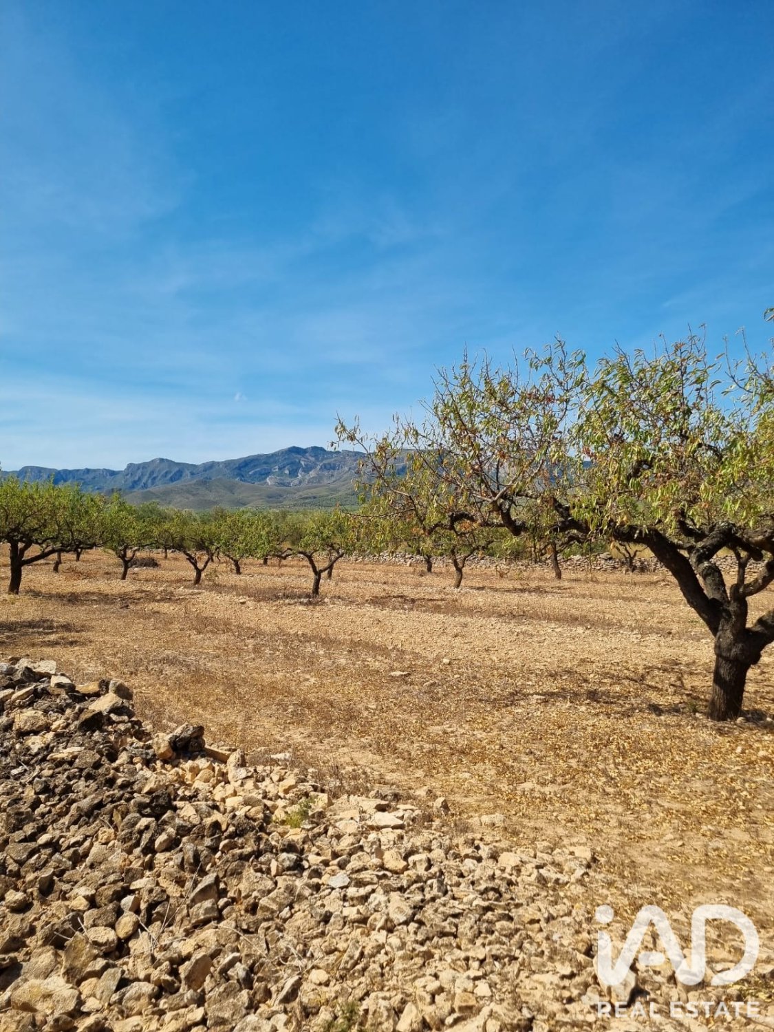 Zemes gabals Tivissa, Tarragona, Spānijā 38972 m2 Nr. 194337