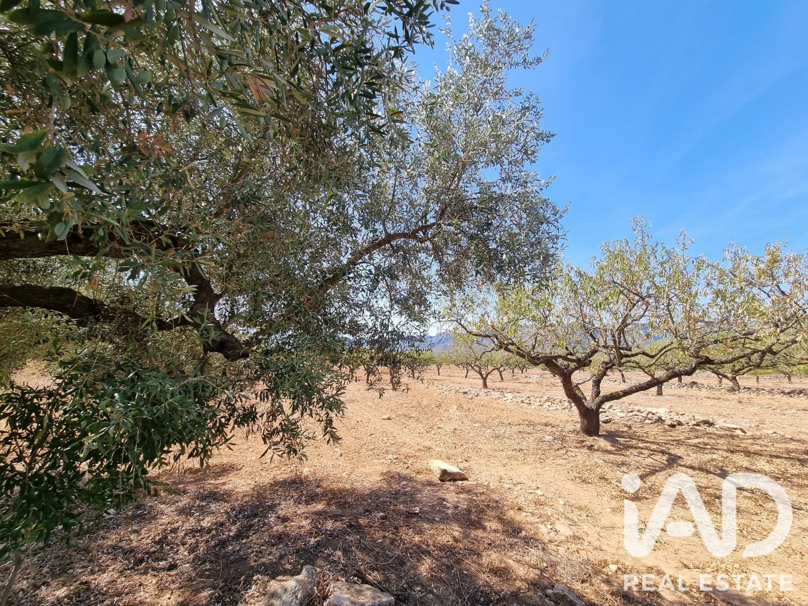 Zemes gabals Tivissa, Tarragona, Spānijā 38972 m2 Nr. 194337