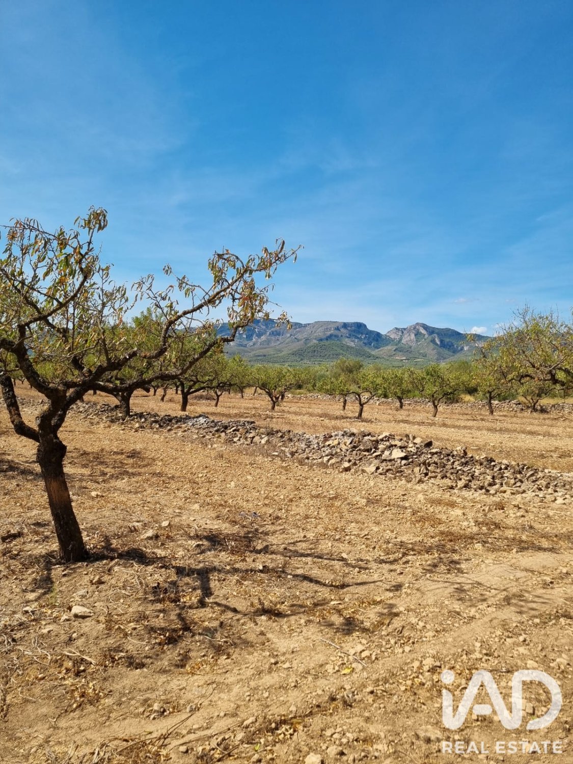 Zemes gabals Tivissa, Tarragona, Spānijā 38972 m2 Nr. 194337