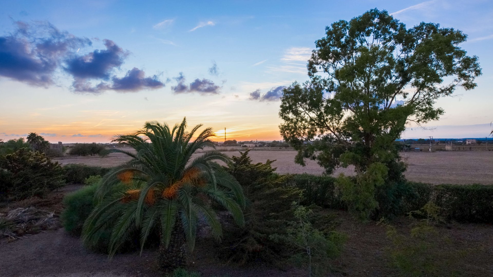 Finca a Campos, Mallorca, Spagna 5 camere da letto, 265 mq. N° 137529