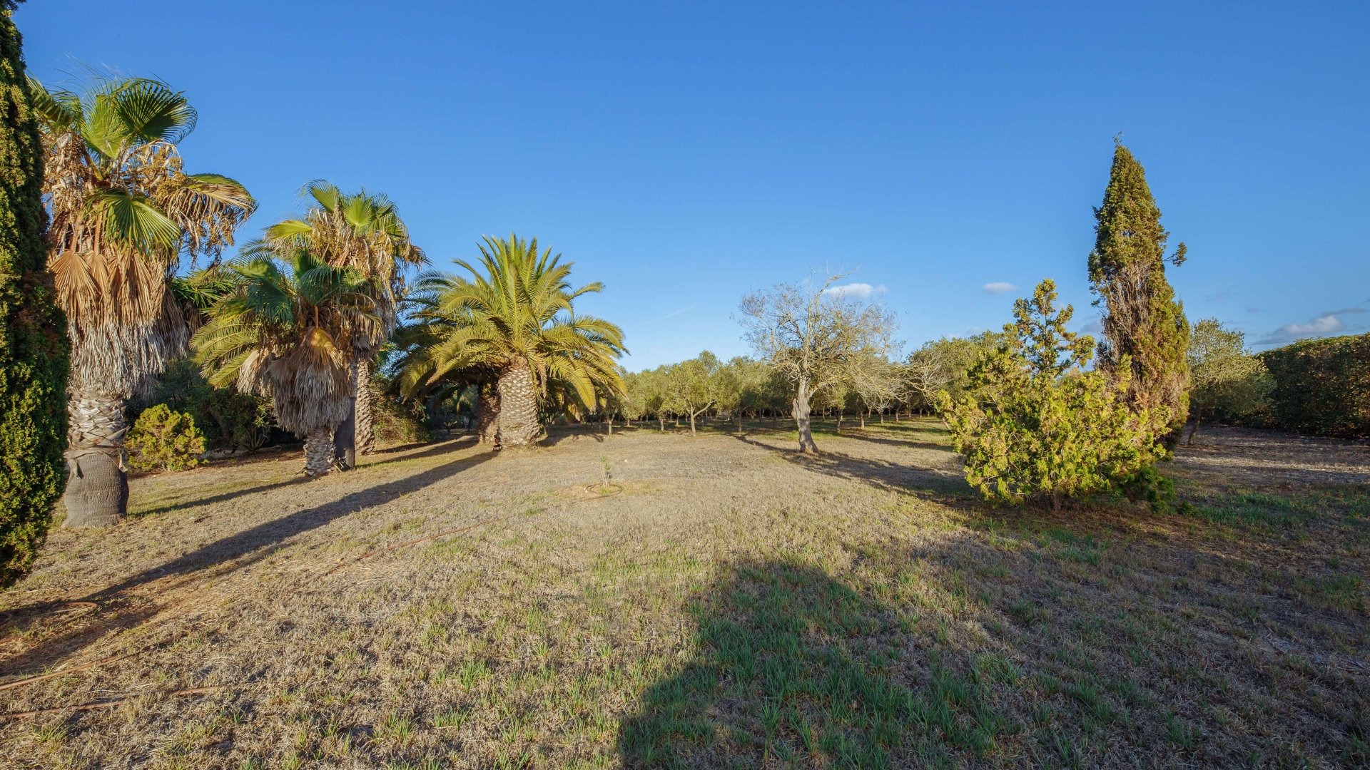 Finca a Campos, Mallorca, Spagna 5 camere da letto, 265 mq. N° 137529