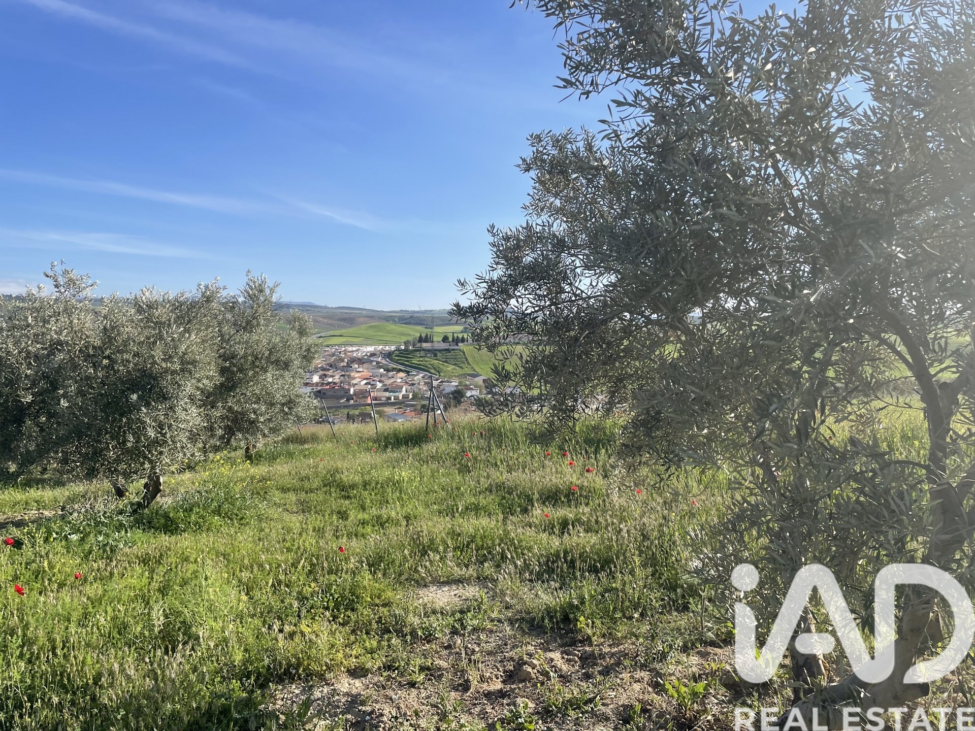 House in Guadahortuna, Granada, Spanien 4 Schlafzimmer, 200 m2 Nr. 172756