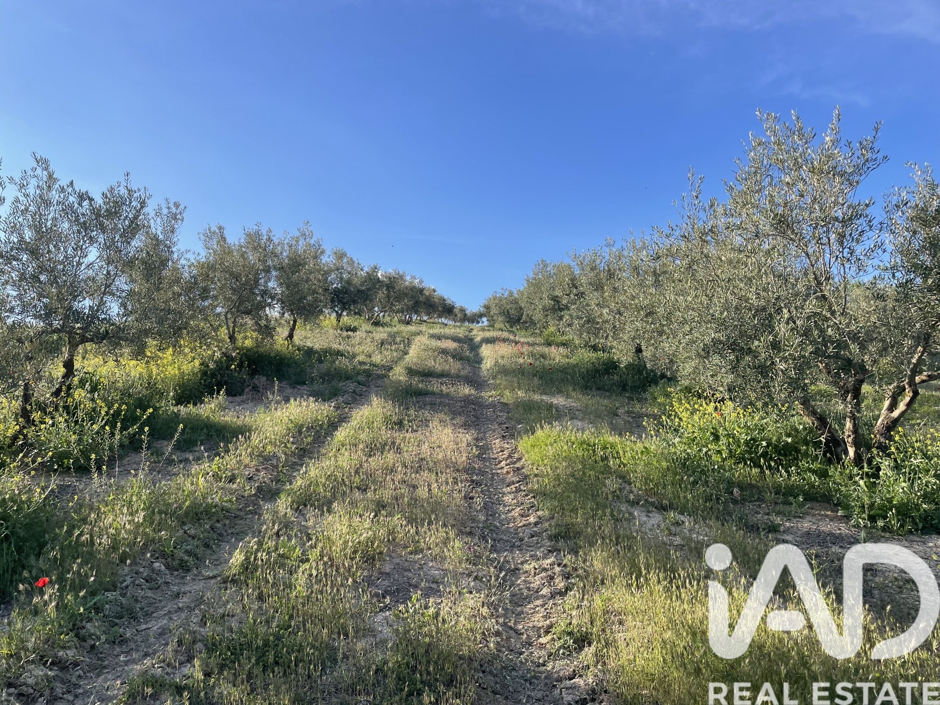 House in Guadahortuna, Granada, Spanien 4 Schlafzimmer, 200 m2 Nr. 172756