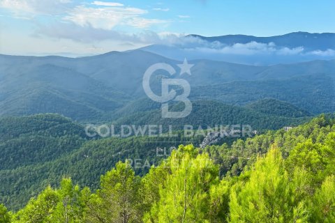 Land plot in Girona, Spain 748972 sq.m. No. 178991