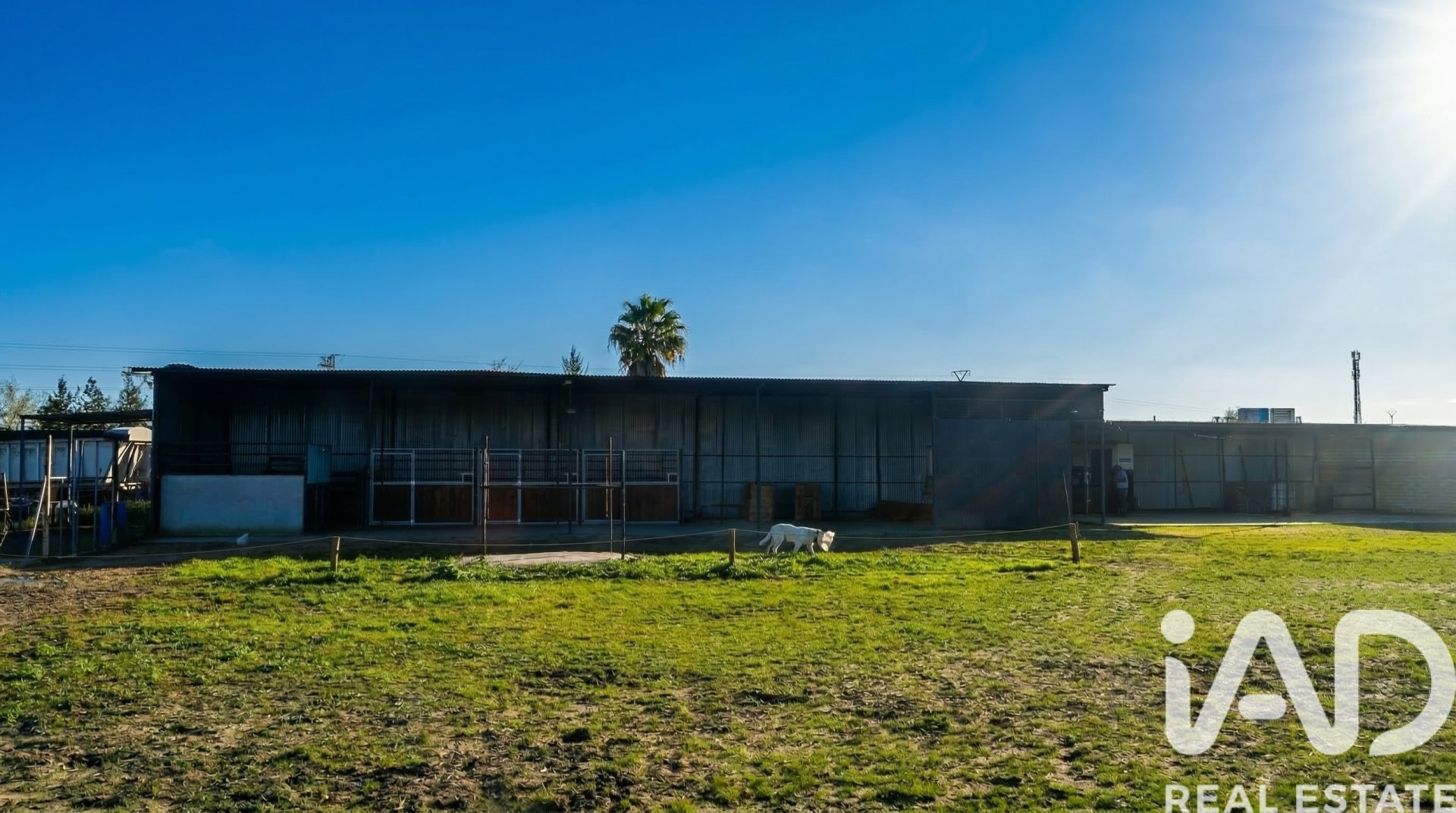 Tontti Almonte, Huelva, Espanja 7380 m2 No. 185100