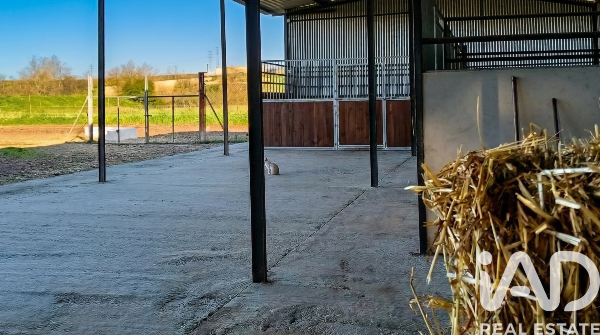 Tontti Almonte, Huelva, Espanja 7380 m2 No. 185100