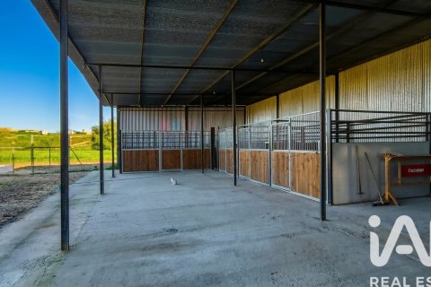 Tontti Almonte, Huelva, Espanja 7380 m2 No. 185100