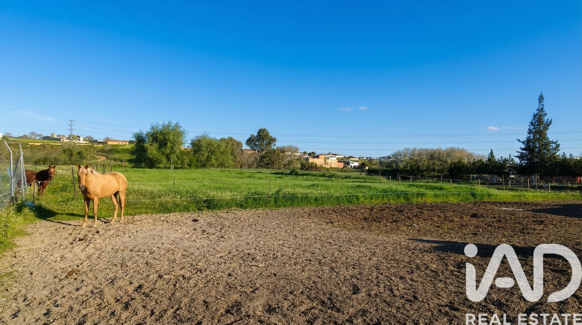 Tontti Almonte, Huelva, Espanja 7380 m2 No. 185100