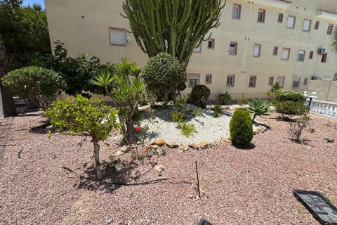 Apartament w Torrevieja, Alicante, Hiszpania 3 sypialnie, 69 mkw. nr 184334