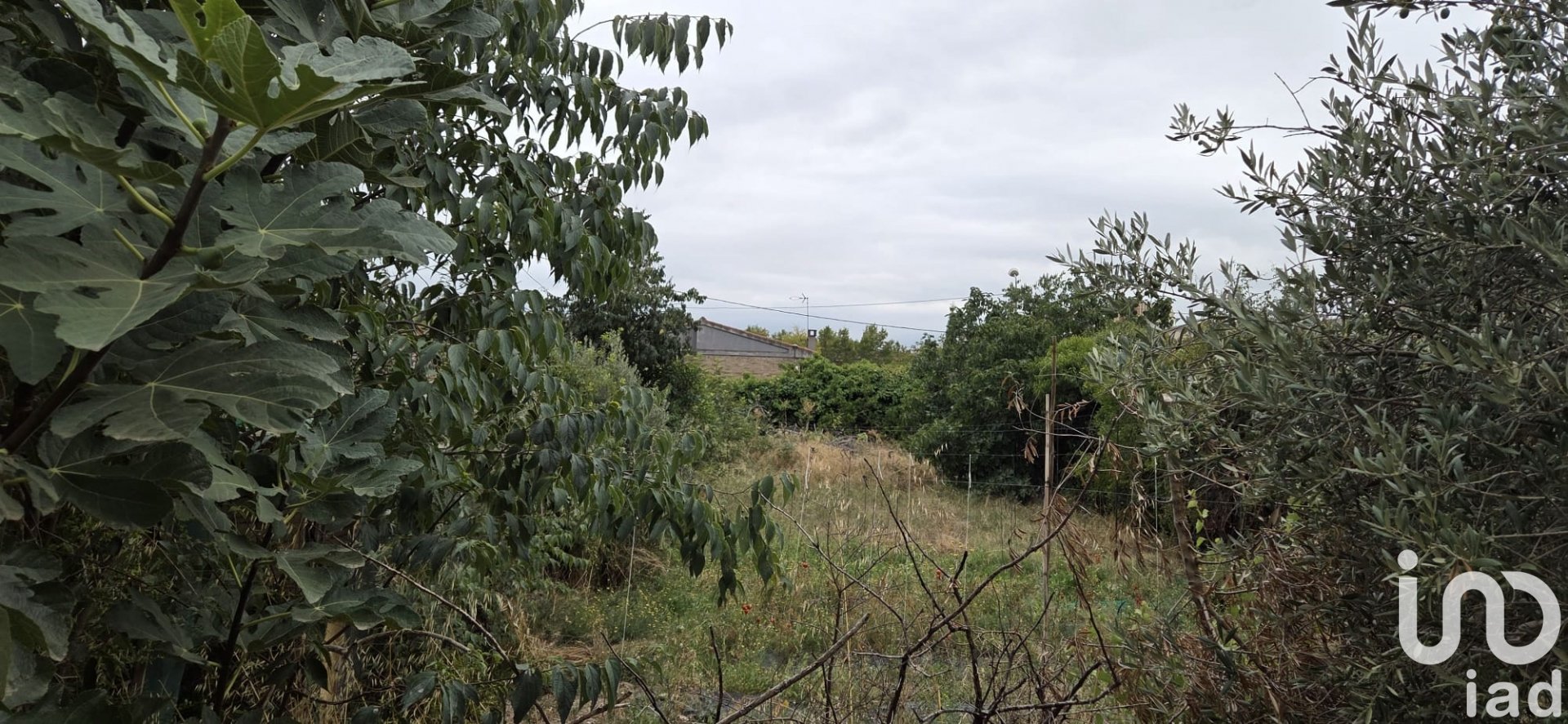 Land plot in Tàrrega, Lleida, Spain 719 sq.m. No. 153117