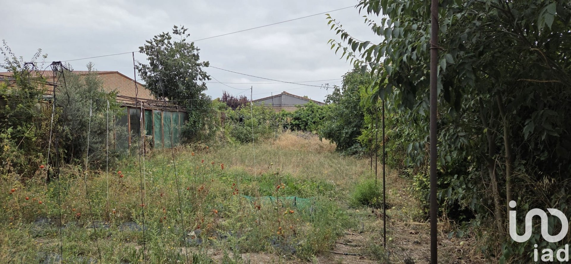 Land plot in Tàrrega, Lleida, Spain 719 sq.m. No. 153117