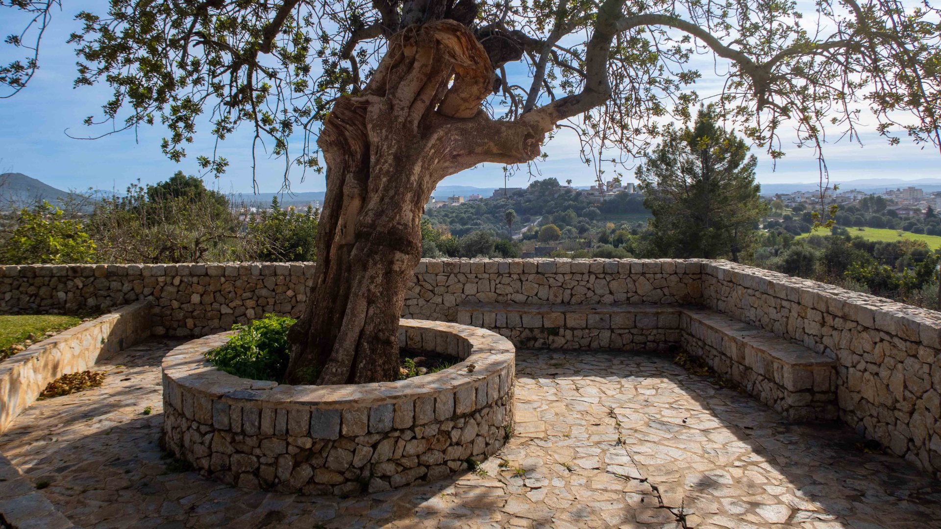 Finca Inca, Mallorca, Spānijā 8 istabas, 740 m2 Nr. 146535