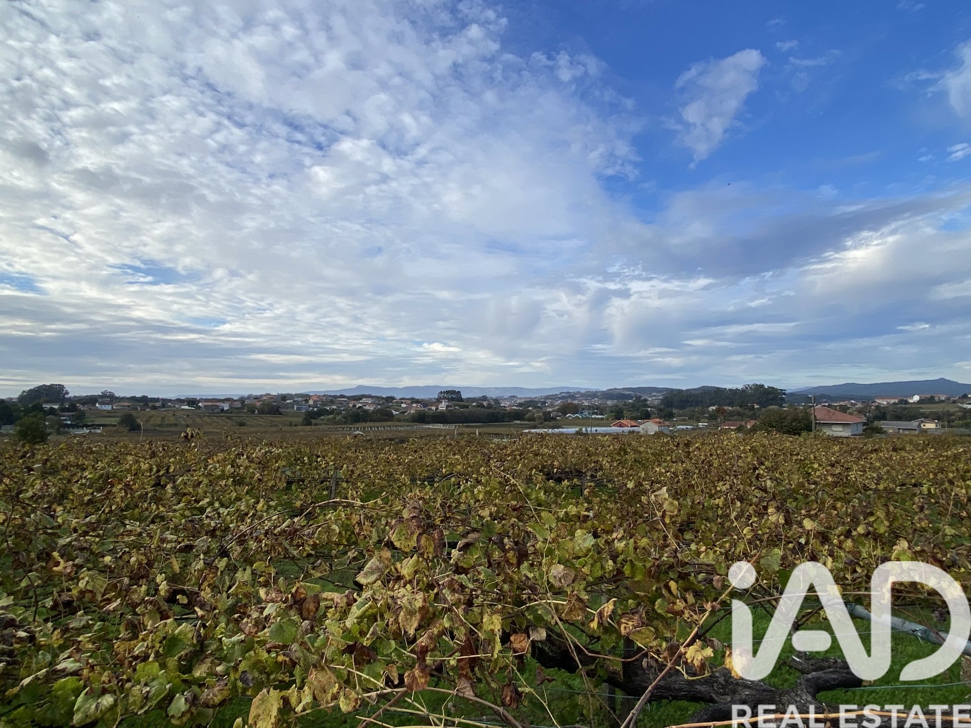 Сasa en Ribadumia, Pontevedra, España 3 dormitorios, 325 m2 No. 152615