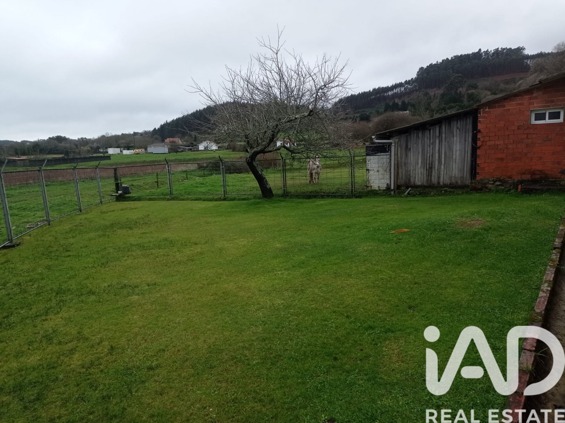 Appartamento a Naron, A Coruna, Spagna 7 camere da letto, 744 mq. N° 173142