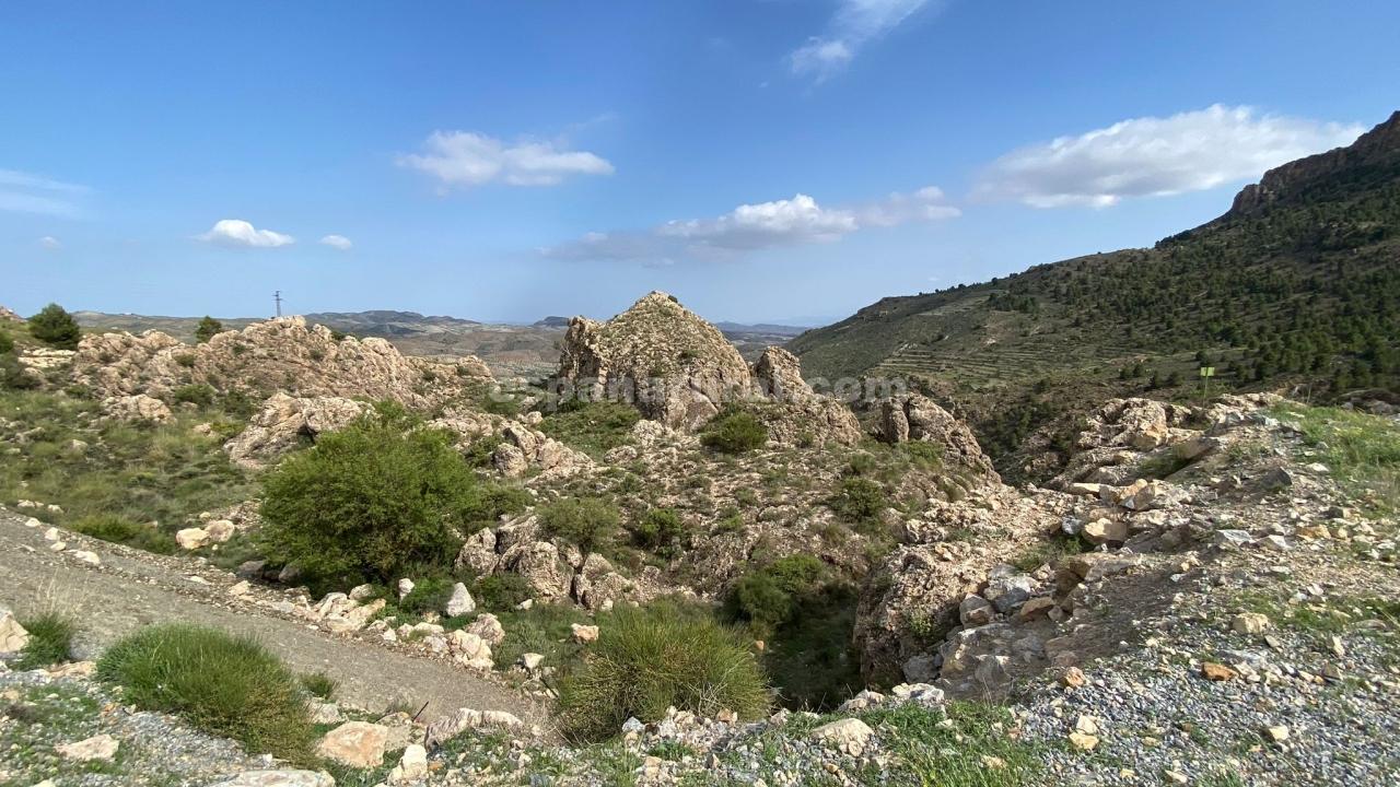 Dom w Albox, Almeria, Hiszpania 3 sypialnie, 270 mkw. nr 184051