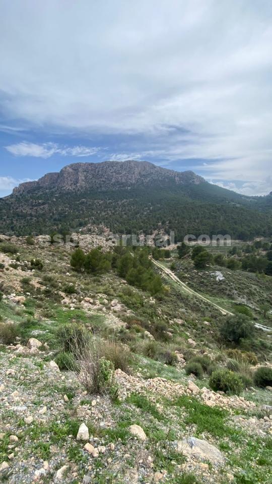 Dom w Albox, Almeria, Hiszpania 3 sypialnie, 270 mkw. nr 184051