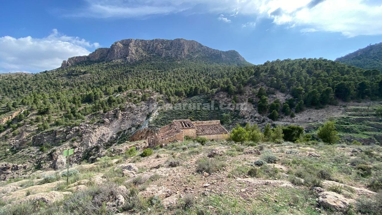 Dom w Albox, Almeria, Hiszpania 3 sypialnie, 270 mkw. nr 184051