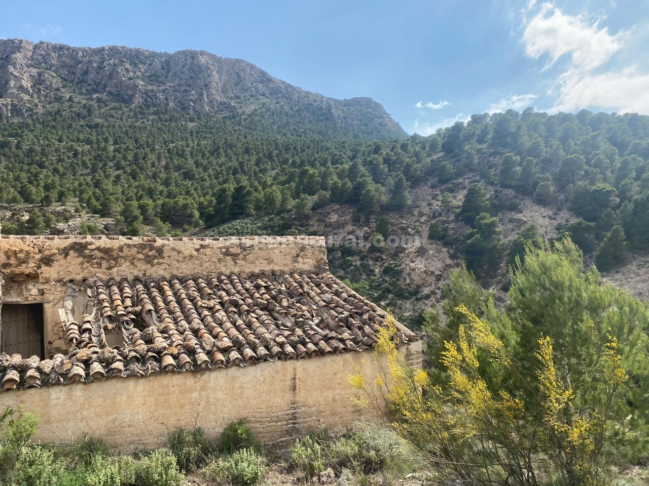 Dom w Albox, Almeria, Hiszpania 3 sypialnie, 270 mkw. nr 184051