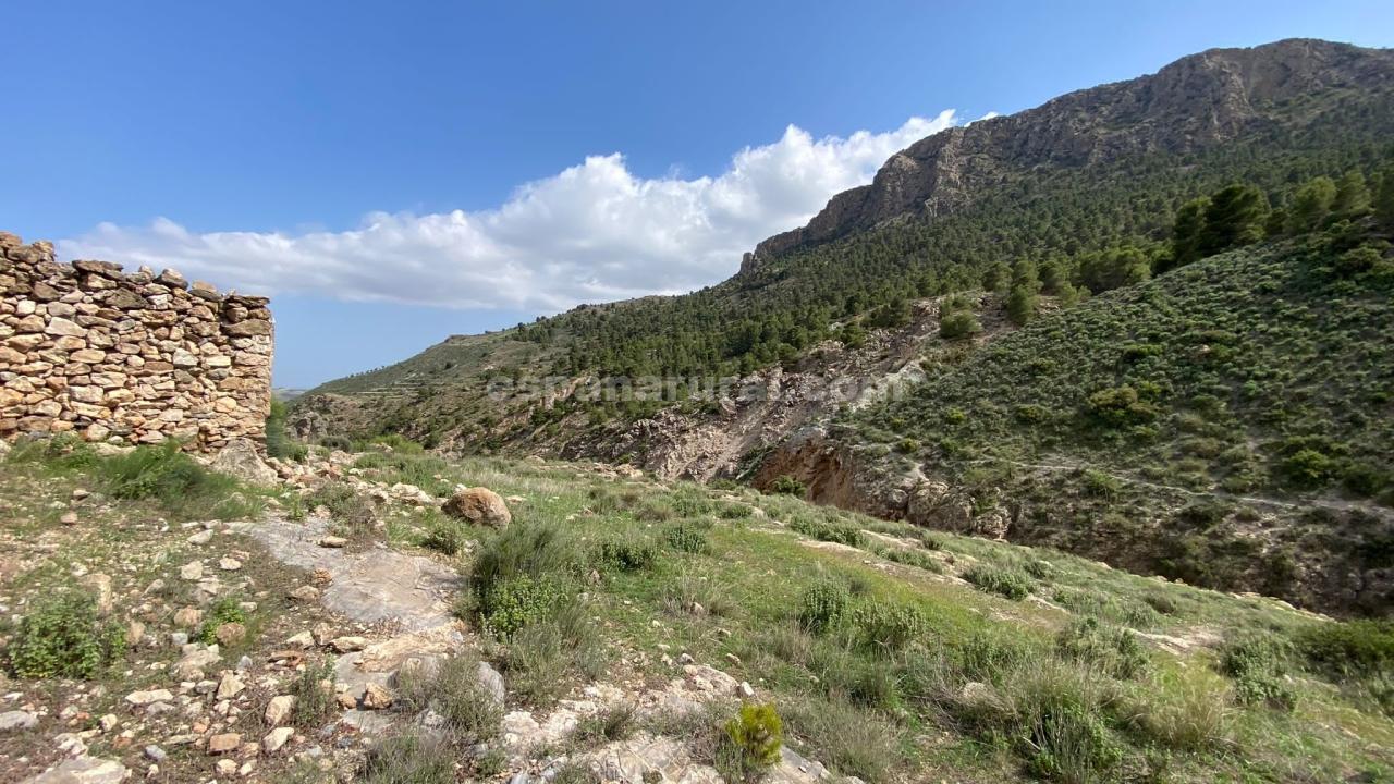 Dom w Albox, Almeria, Hiszpania 3 sypialnie, 270 mkw. nr 184051