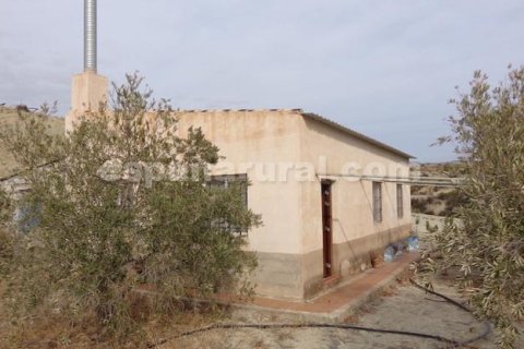 Talo Tijola, Almeria, Espanja 2 makuuhuonetta, 75 m2 No. 184050