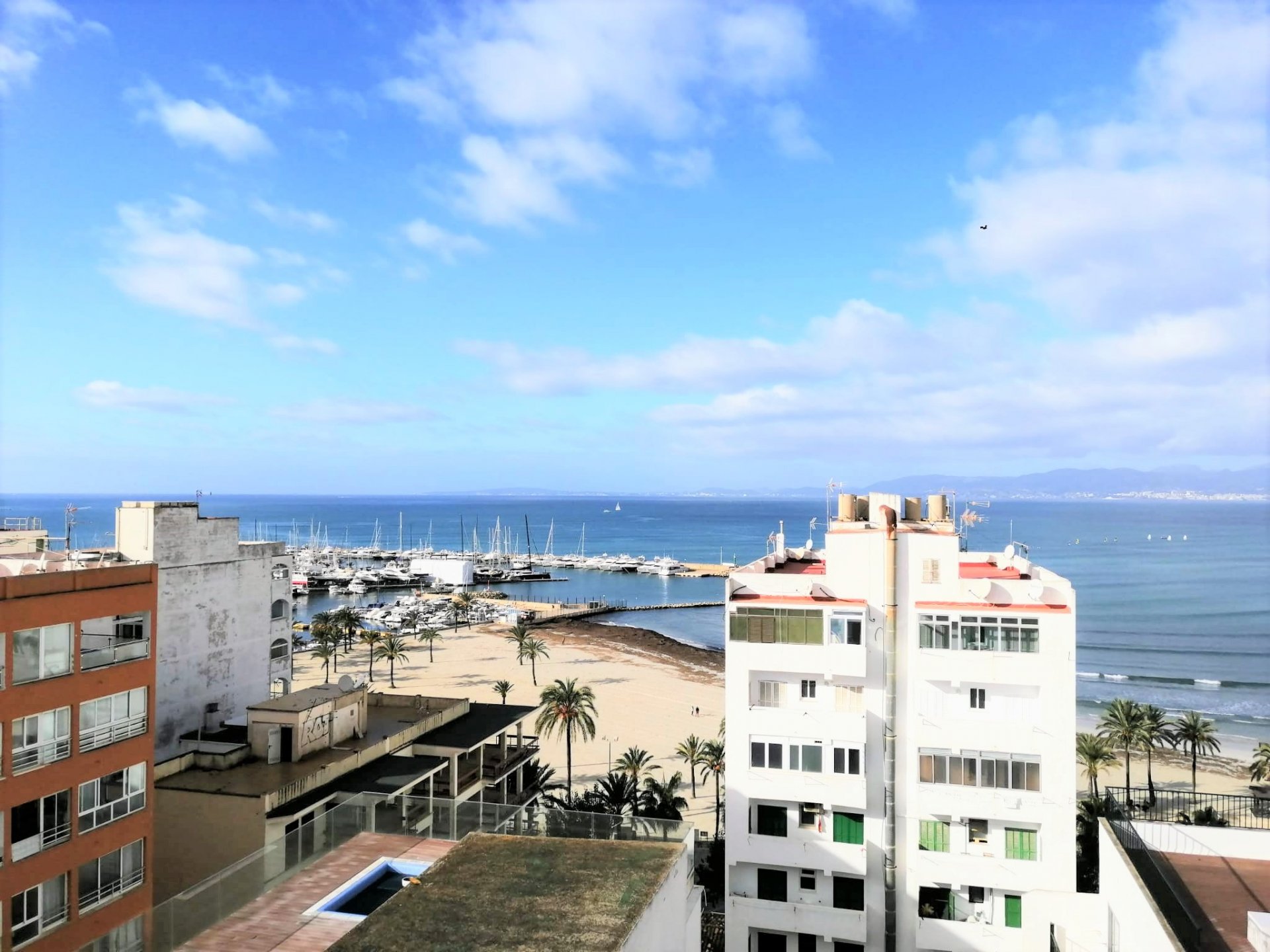 Apartment à Palma de Majorca, Mallorca, Espagne 4 chambres, 126 m2 No. 69246