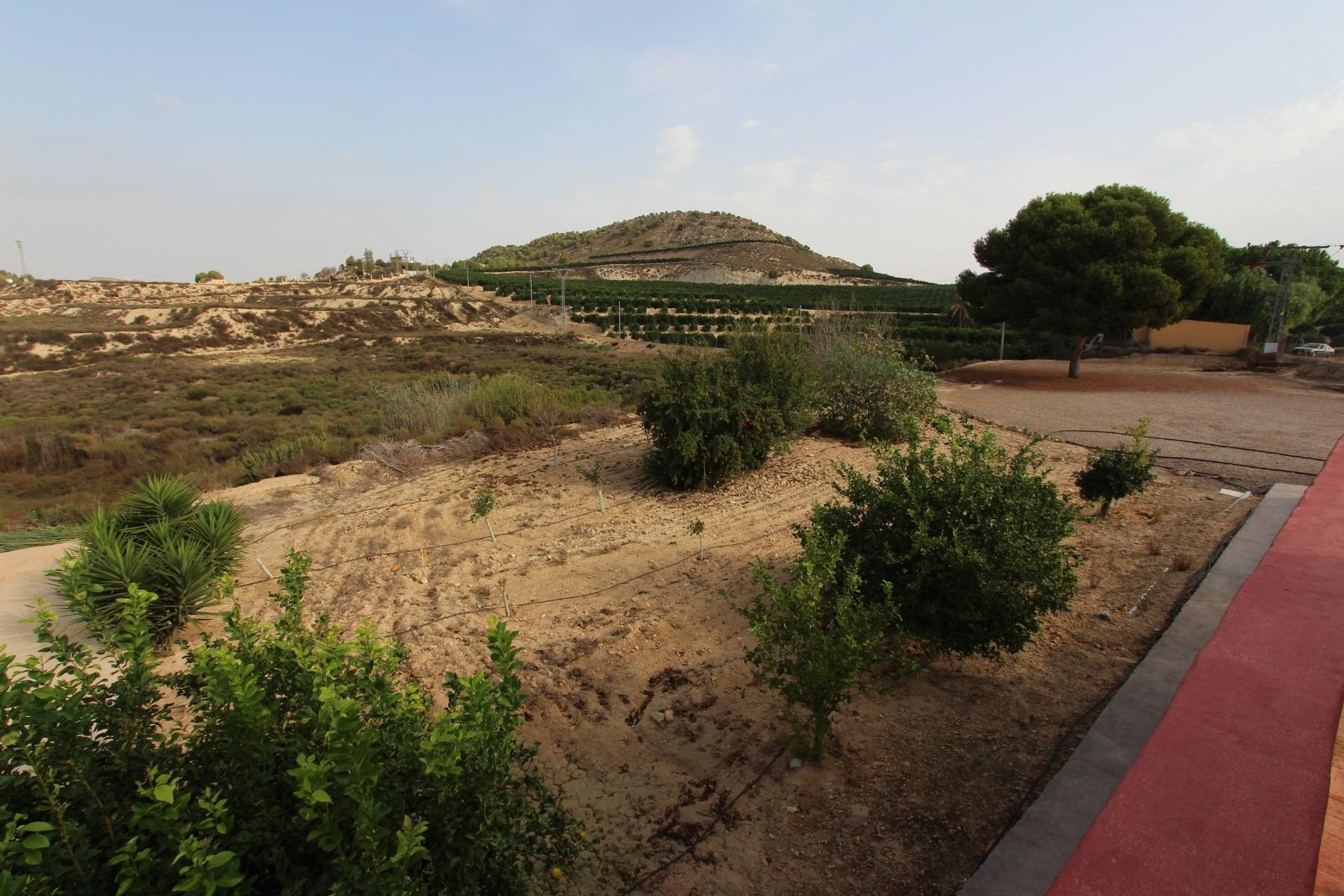 Huvila San Miguel de Salinas, Alicante, Espanja 4 makuuhuonetta,  No. 80190