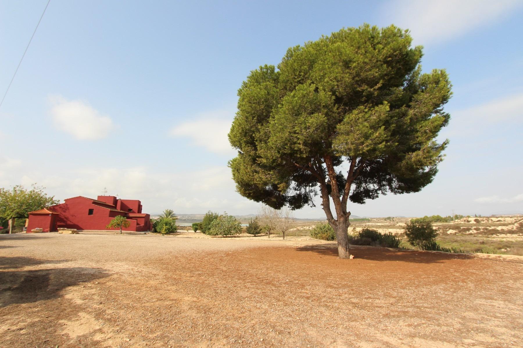 Huvila San Miguel de Salinas, Alicante, Espanja 4 makuuhuonetta,  No. 80190
