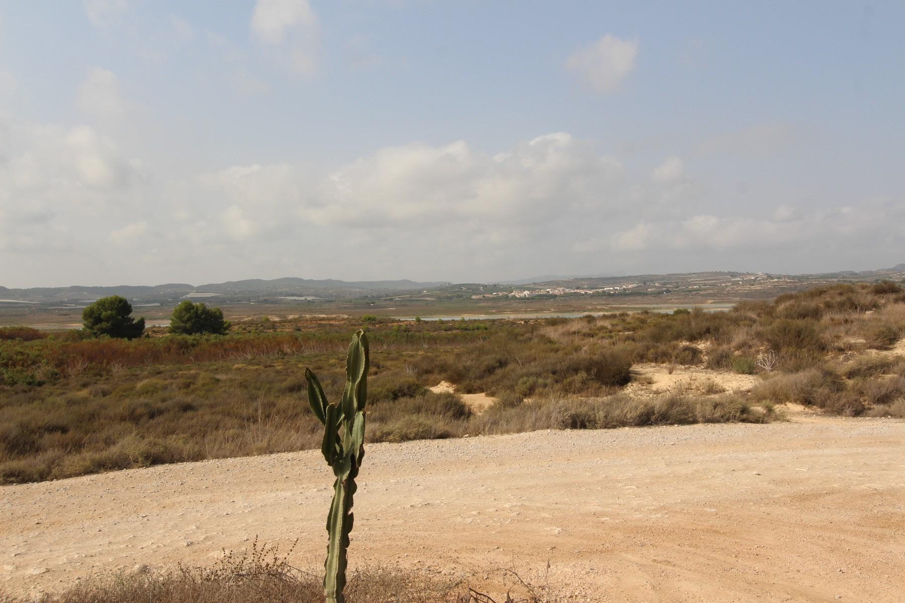 Huvila San Miguel de Salinas, Alicante, Espanja 4 makuuhuonetta,  No. 80190
