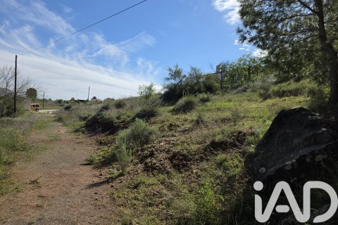 Land plot à Calasparra, Murcia, Espagne 1564 m2 No. 185059