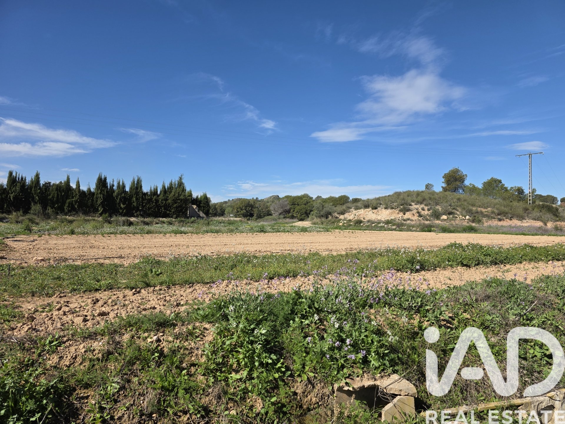 Land plot à Calasparra, Murcia, Espagne 8400 m2 No. 185060