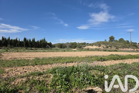 Land plot in Calasparra, Murcia, Spain 8400 sq.m. No. 185060