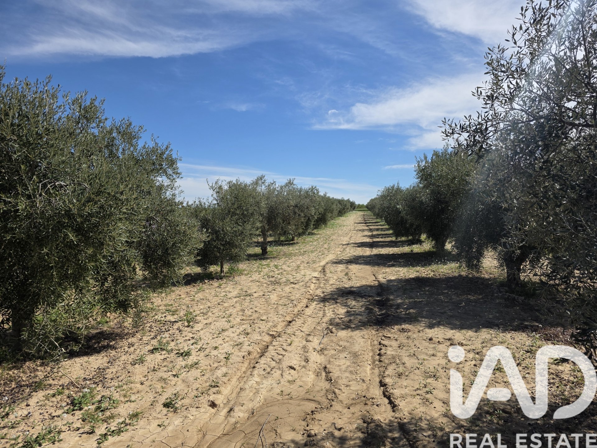 Terreno a Calasparra, Murcia, Spagna 5779 mq. N° 185058