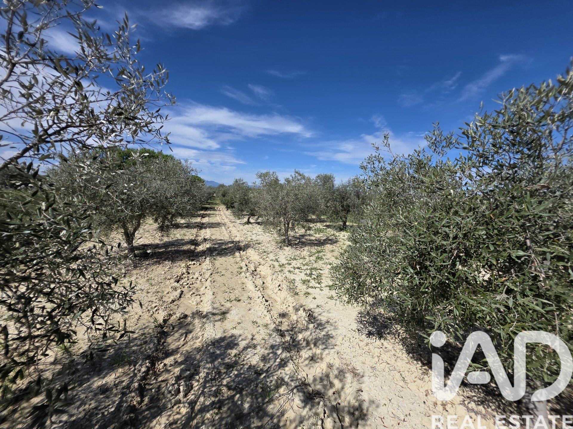 Terreno a Calasparra, Murcia, Spagna 5779 mq. N° 185058